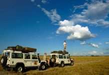 Tips On Taking Children On Safari