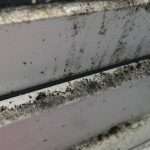 how to spot damp in a caravan