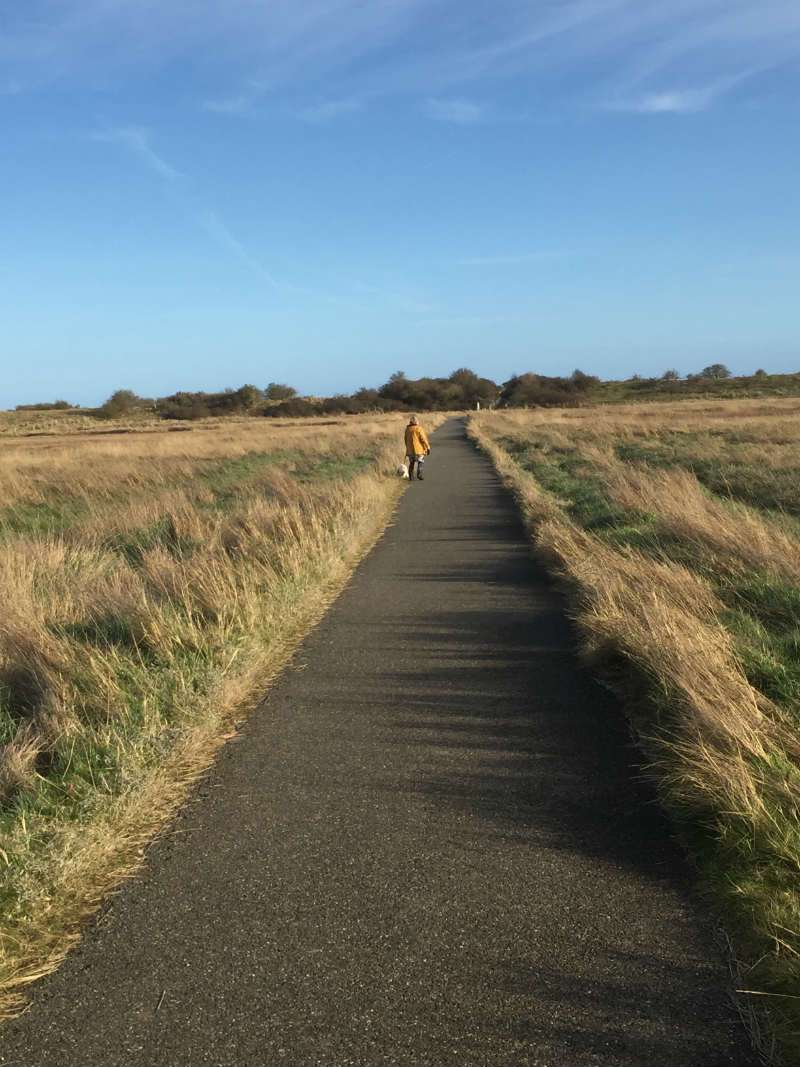 what to do in skegness