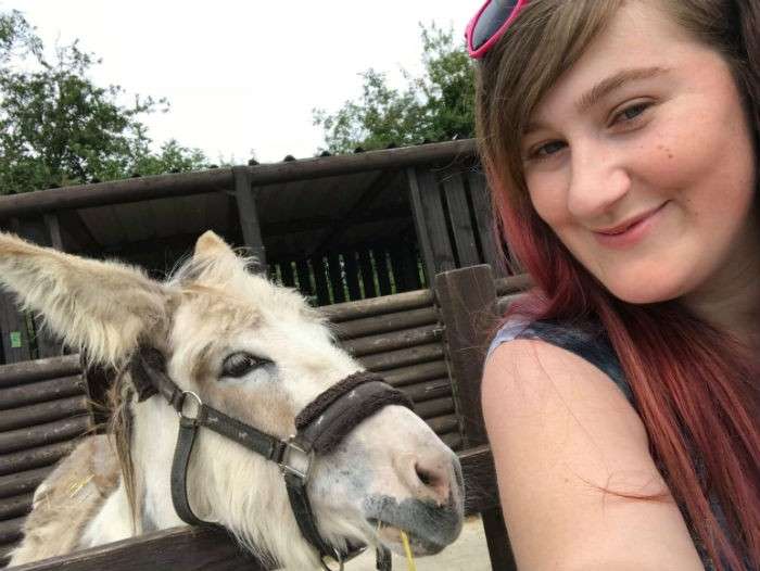 Skegness seal sanctuary