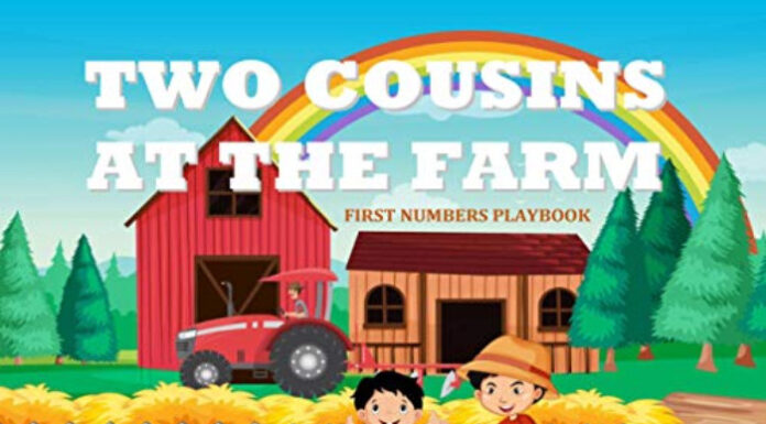 Two Cousins at the Farm book