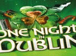one night in dublin