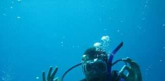 5 Top Underwater Photography and Scuba Dive Destinations