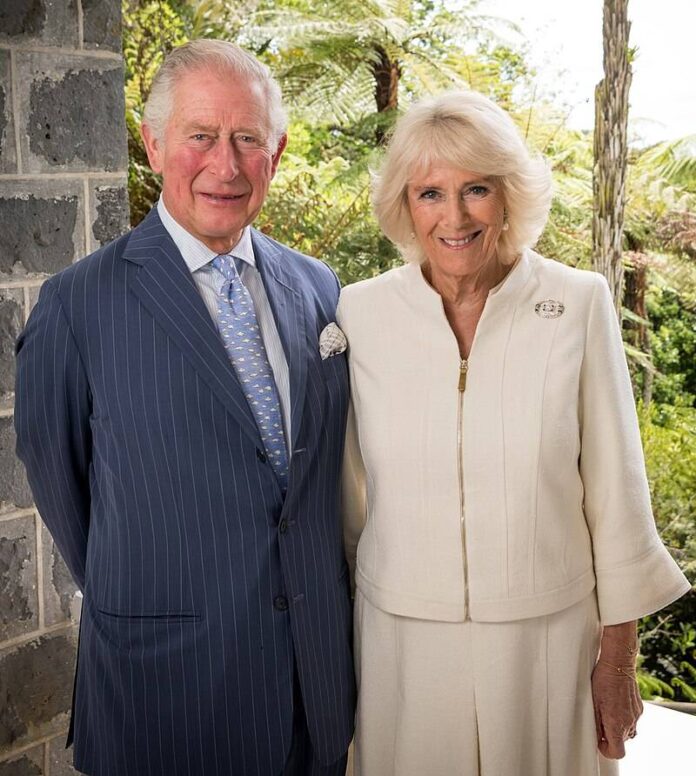 kingcharles(1) Do we need a royal family