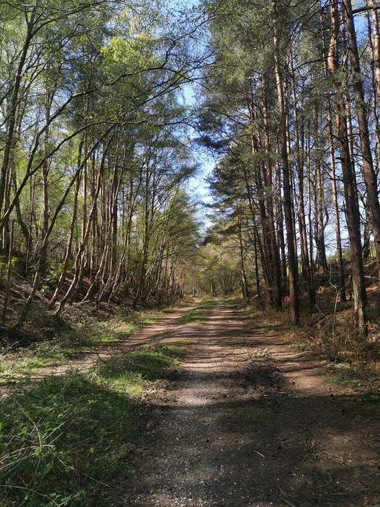 Dorset outdoor activities