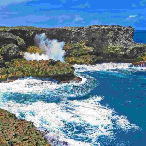 best things to do in Barbados