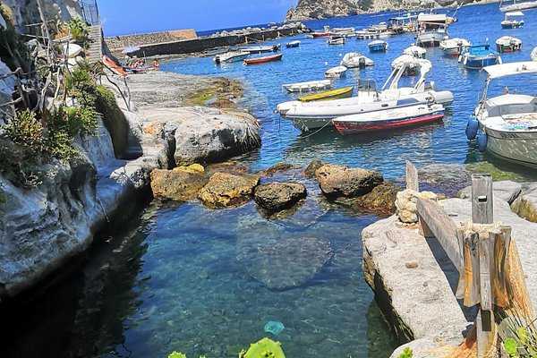 Port Palmarola whats in port