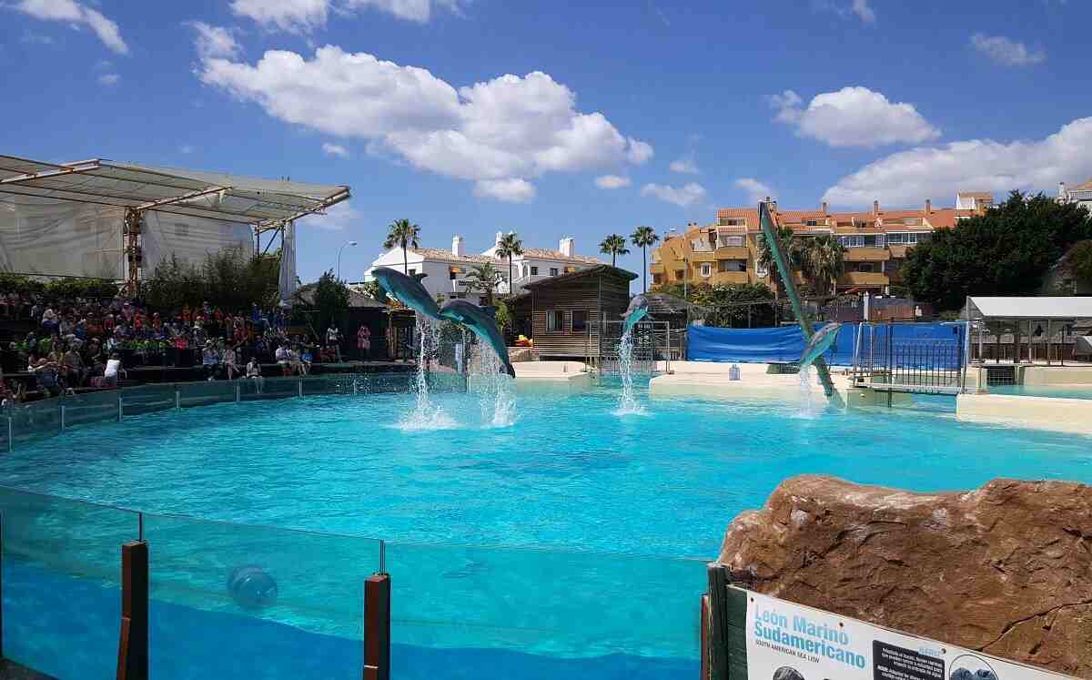 things to do in benalmadena