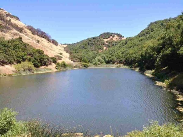 Best things to do in Napa Valley California Martha Walker Garden at the Skyline Wilderness park