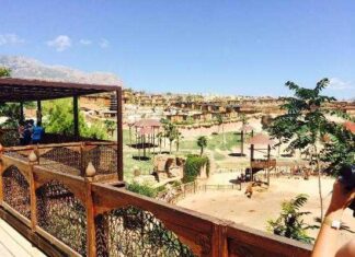 Magic Natura Benidorm Review Magic Natura Benidorm Review