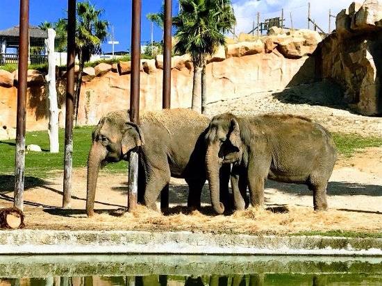 aqua natura benidorm