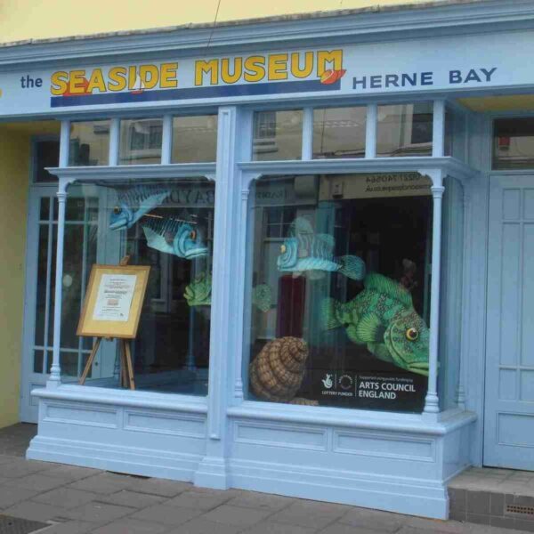 what to do in herne bay