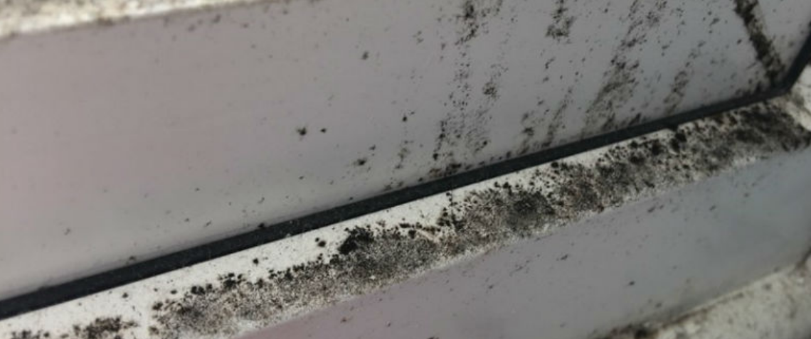 how to deal with damp in a caravan