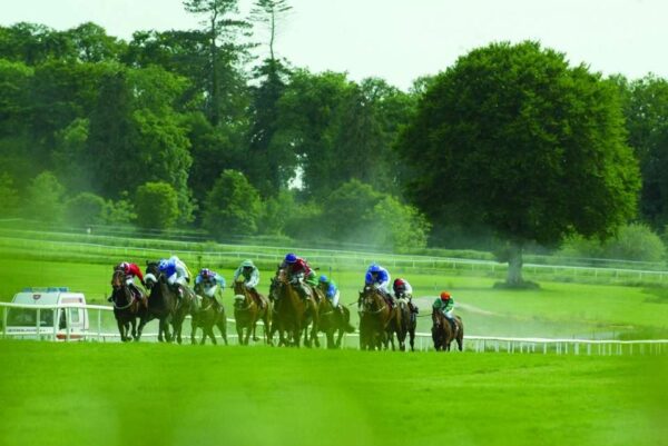 irish horse racing in ireland